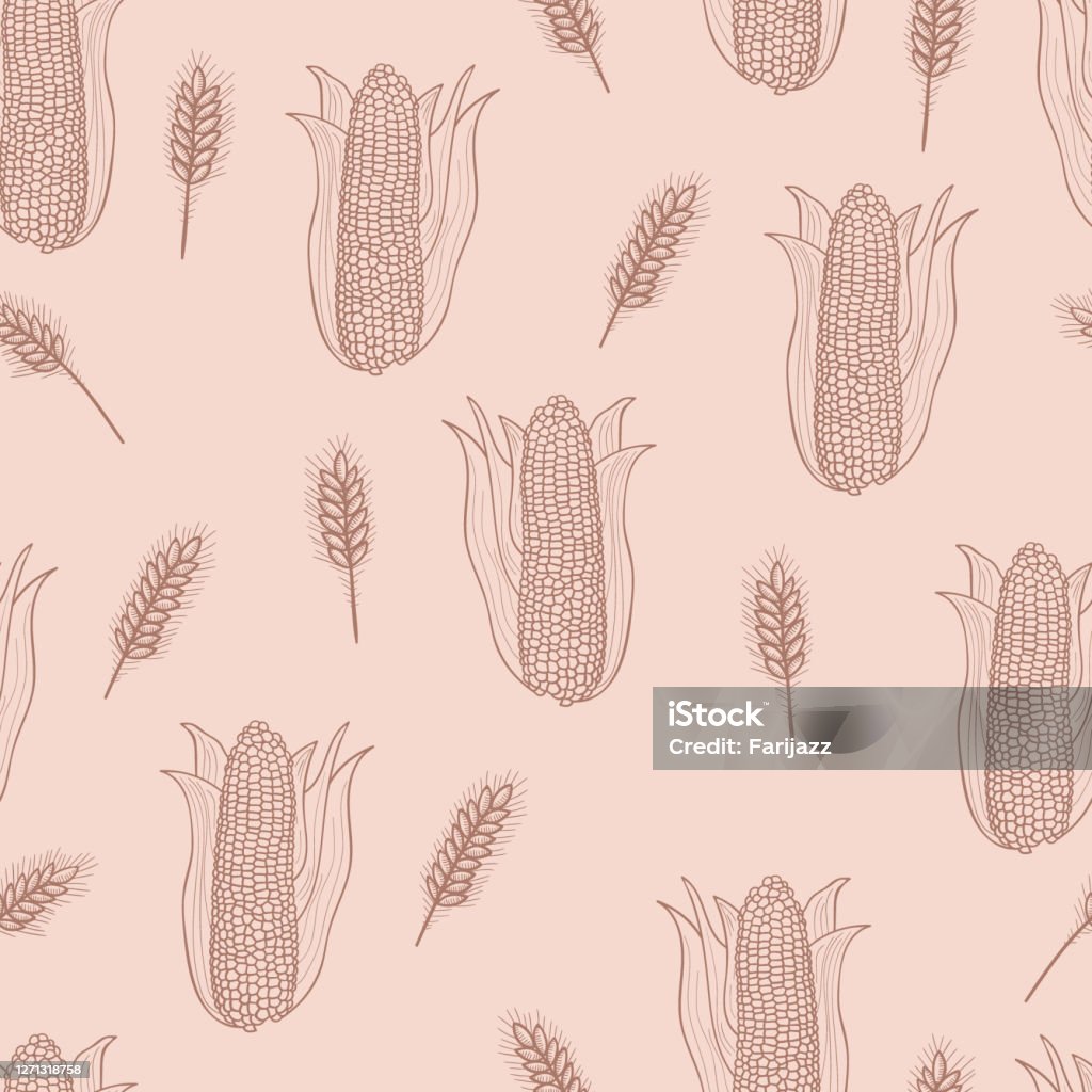 Pattern Maize Design Maize And Wheat Vector Seamless Pattern Stock Illustration - Download ...