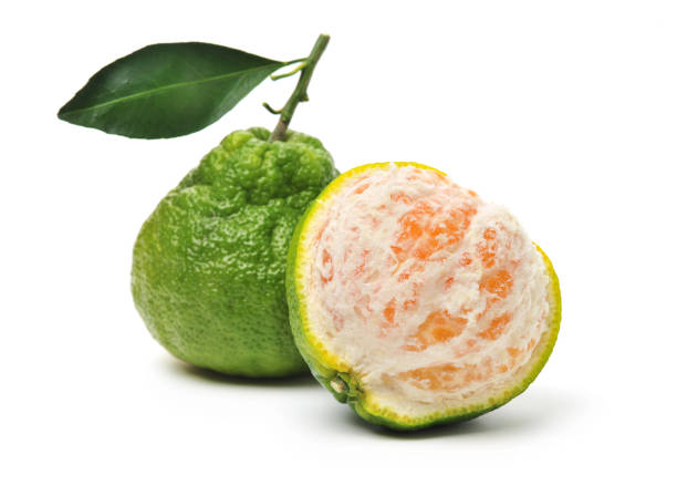 istock ugly tangerine 1271321153