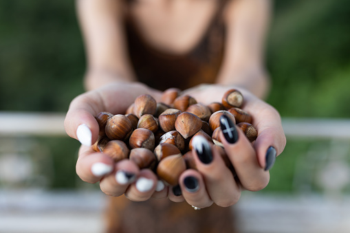 Women holding fresh hazelnut