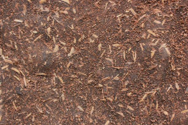 Wood chip shaving or shredded mulch material texture background.