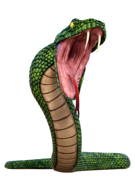 istock 3D illustration giant fantasy snake on white 1271328886