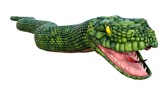 3D rendering of a green giant fantasy snake isolated on white background