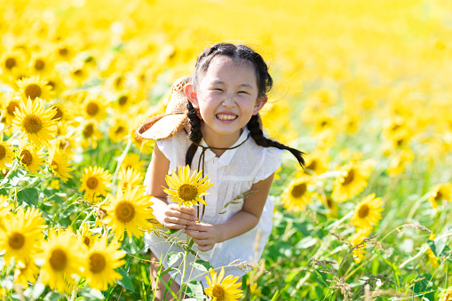 Girl playing in the sunflower field