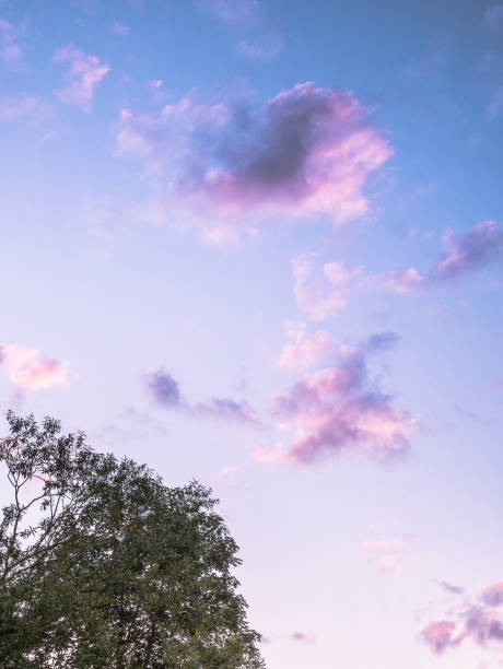 Beautiful sky in the morning with blue purple clouds.