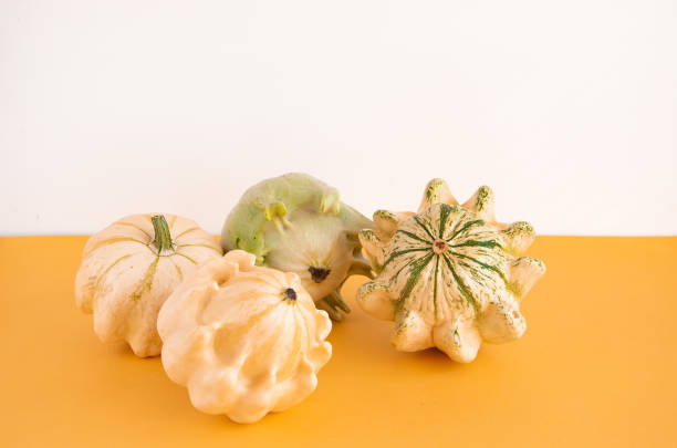 istock Decorative pumpkin on an orange background. Festive background with space for text. 1271329456