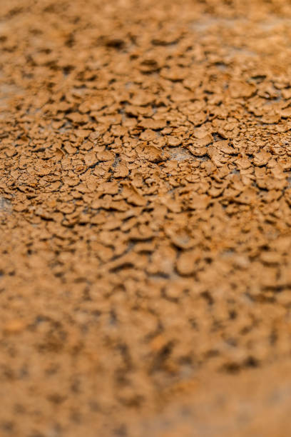istock Top view shot of cracked soil 1271330793