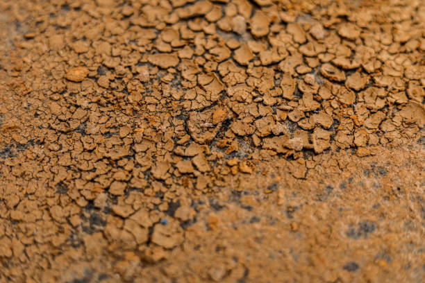 istock cracked clay ground into the dry season 1271330816