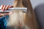 dry ends of hair held in hand by a blonde with a curling iron. Hair health, dry hair damaged by over-leveling. Harm from straightening hair with a curling iron