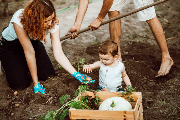 istock Family gardening together 1271337325