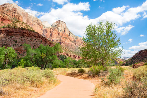 istock Beautiful summer mountain landscape in Utah. 1271337404