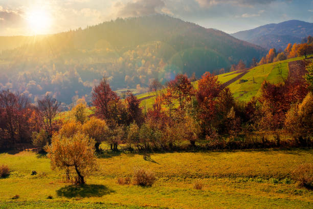 istock countryside autumn scene in mountains at sunset 1271338359