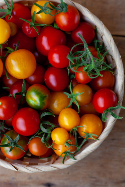 istock Multi-colored tomatoes of different varieties in a wicker bowl on a wooden background. Cherry tomato svenhu close-up view. Red and yellow vegetables. Harvest. Vitamin healthy food. Rustic kitchen 1271340991
