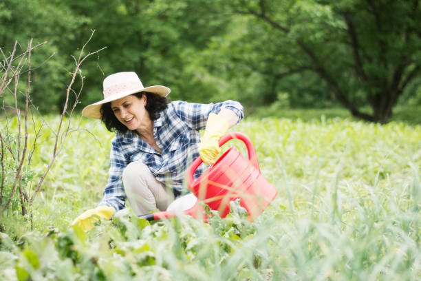 istock senior woman watering her plants 1271342479