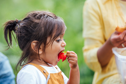 A close-up, side view shot of a young, mixed race boy eating a strawberry whilst walking through a woodland forest in Northumberland, Northeastern England during the Covid-19 pandemic.