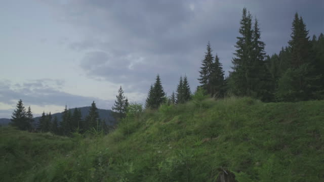 Male hiker walking on the hill in cloudy mountains early in the morning.
