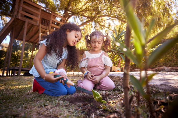 маленькие девочки садоводства завод на отверстие whith лопатой в саду - preschooler plant multi ethnic group preschool стоковые фото и изображения