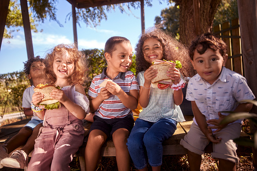 Group of multi-ethnic happy children sitting eating sandwiches in the garden during summer