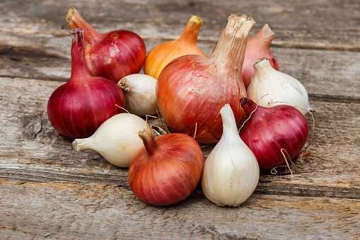 Various onion on a rustic wooden table