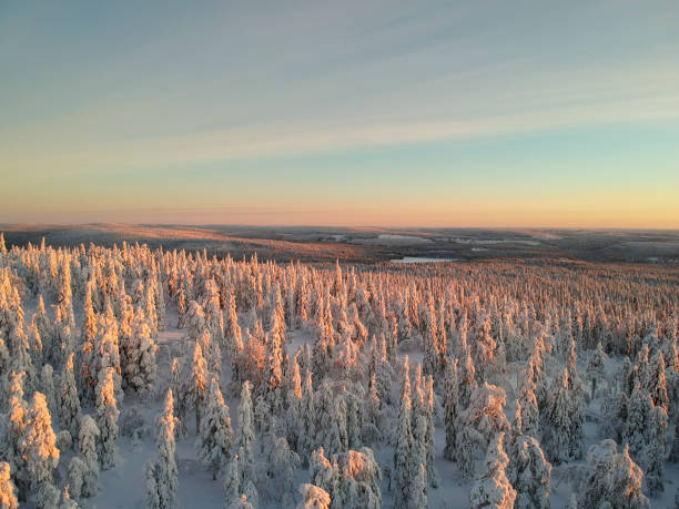 istock Sunset in winter wonderland 1271348052