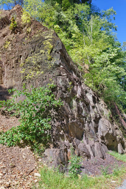 Eroding shale bank exposed in a railroad cut, thin layers of strata are standing near vertical and many chips have fallen to collect at the bottom.