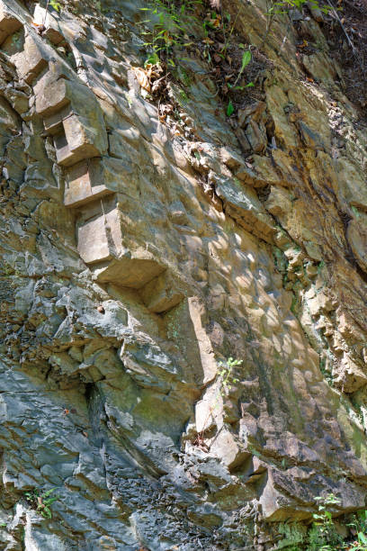 istock Ripple Marks Showing in Rock Strata Layers 1271348329