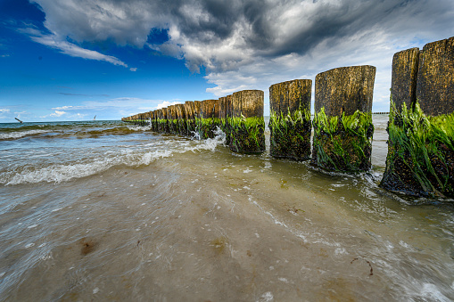 Groynes on the beach of the Baltic Sea from a frog's perspective