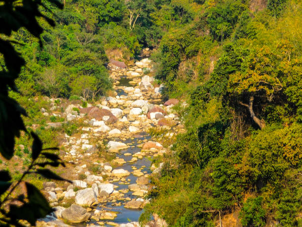 istock THE MAGNIFICENCE OF THE RIVULET 1271349755