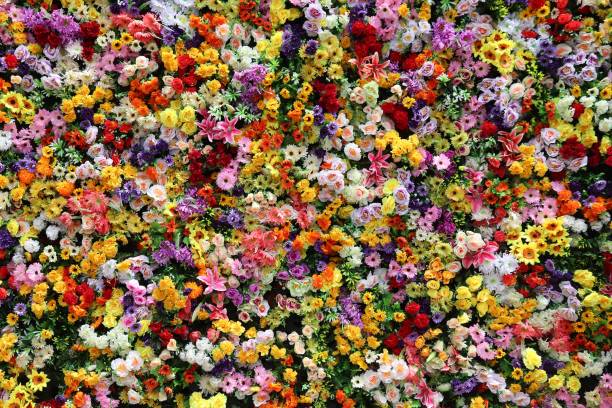 istock Colorful flowers background 1271351223