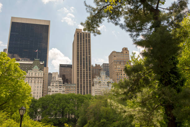 istock skyscrapers and foliage in Central Park 1271353716