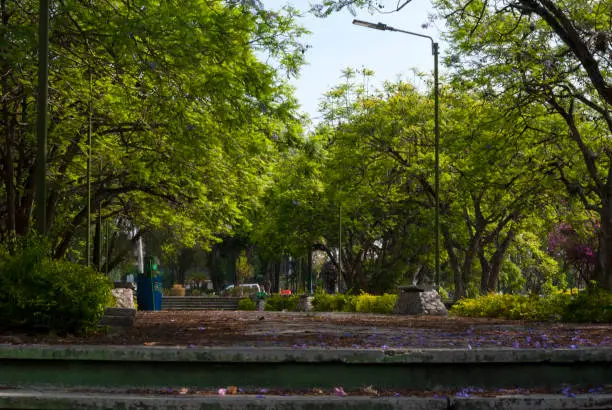 Photo of Outside landscaped area in university city, San Carlos de Guatemala, walk in the morning.