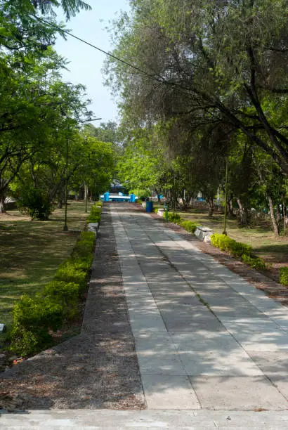 Photo of Outside landscaped area in university city, San Carlos de Guatemala, walk in the morning.