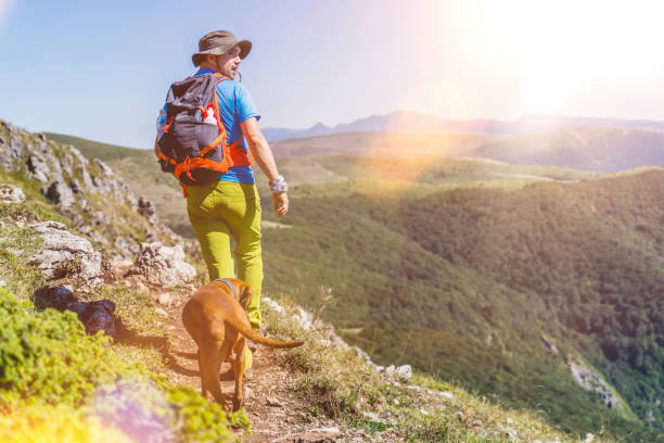 istock Hiker with Vizsla dog on mountain path Balkan mountain Bulgaria 1271367128