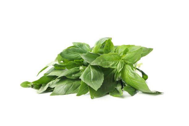 istock Fresh green basil isolated on white background 1271367505