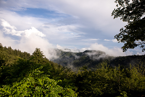 View over a valley to a mountain in tropical surroundings. The picture is taken in Bukittinggi in the northwestern part of Sumatra