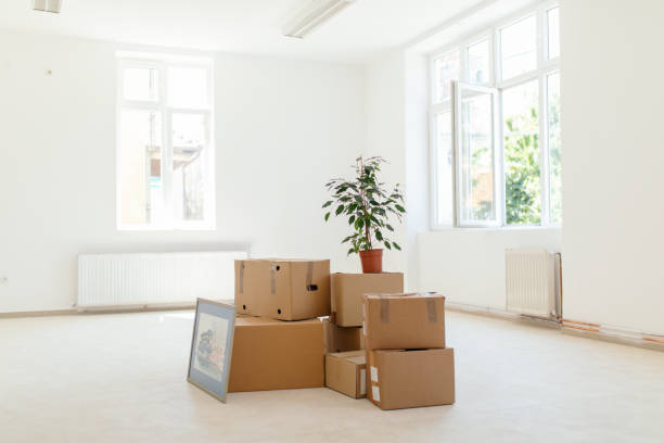 istock Moving in into new apartment 1271371430
