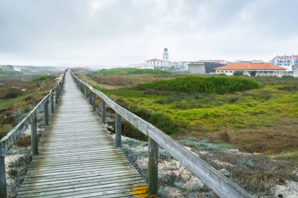 istock A wooden walkway 1271371707