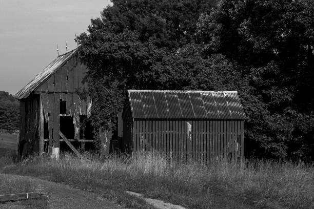 istock Black and White Farm Series #1 1271371793