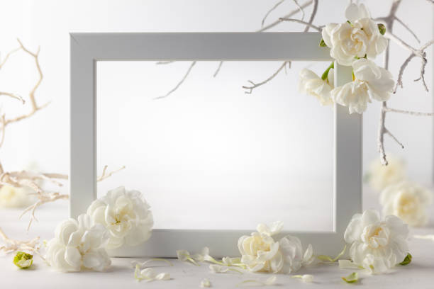istock Still life with white flowers and frame on light backdrop. 1271374291