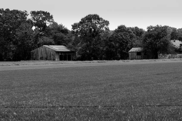 istock Black and White Farm Series #10 1271375269