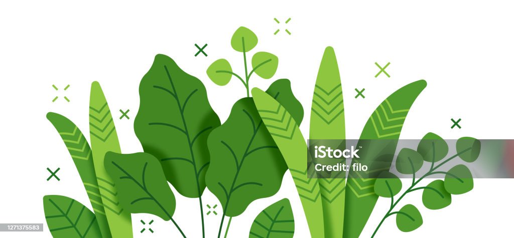 Tropical Plant and Foliage Growth Modern Background stock illustration - Royalty-free Flora arte vetorial
