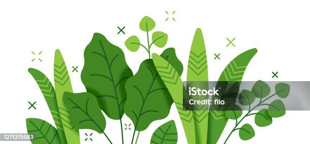 Tropical Plant And Foliage Growth Modern Background Stock Illustration - Arte vetorial de stock e mais imagens de Flora