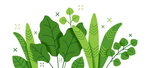 tropikal bitki ve yaprak büyüme modern arka plan stok illüstrasyon - bitki illüstrasyonlar stock illustrations