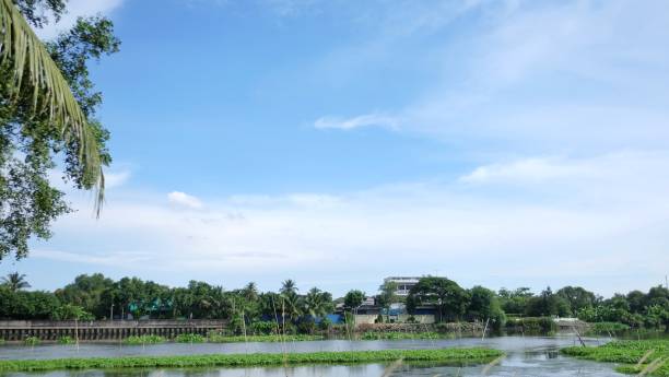 istock In selective focus blue sky white clouds in bright day with a river view and tropical trees growing on a riverside in Samphan,Nakornphatom,Thailand 1271376006
