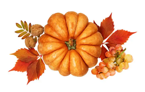 Autumn arrangement with pumpkin, grapes, nuts and colorful leaves isolated on white background. Top view. Flat lay.