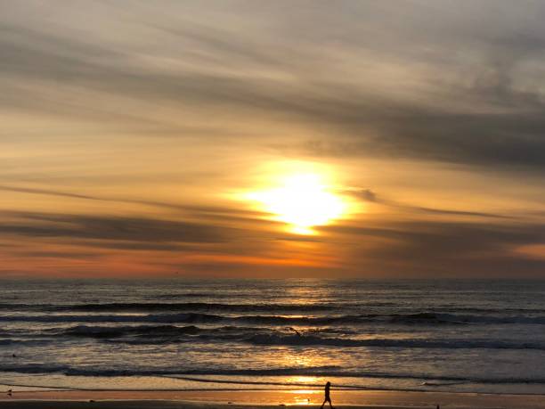 istock Sunset in San Diego 1271379781