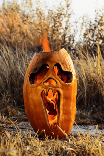 istock Halloween horror theme. Halloween pumpkin is burning on the ground. 1271380182