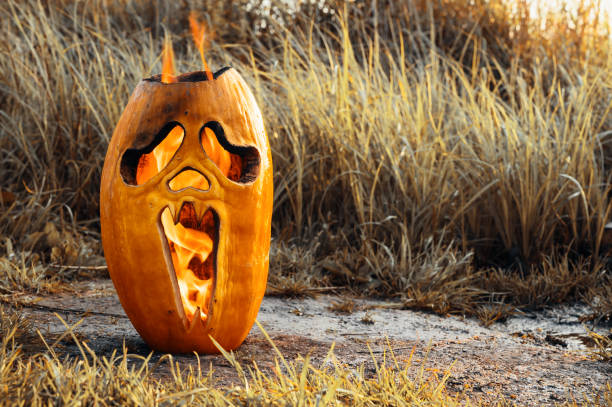 Halloween horror theme. Halloween pumpkin is burning on the ground.