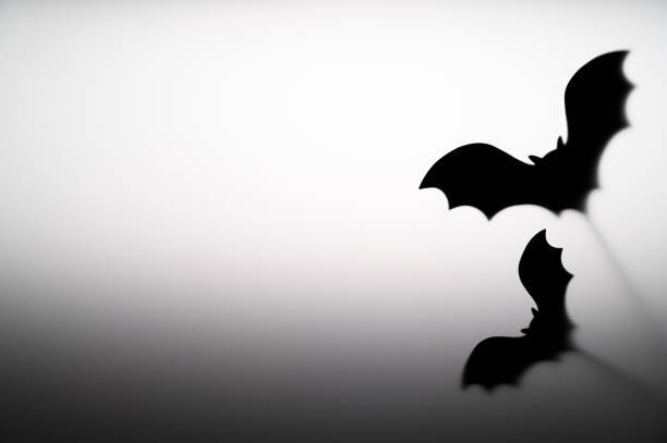 Halloween Decoration. Terrifying Shadow Puppets. Shadows bats on the gray background. Copy space.