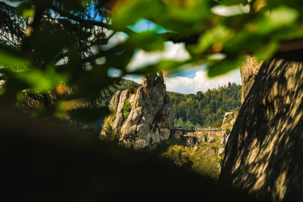 自然の葉の絵のように美しい山の岩のピークの風景写真 焦点を合わせられていない前景フレーム荒野面白い場所風光明媚な景色 - natural phenomenon waterfall rock tranquil scene ストックフォトと画像