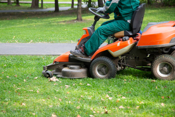 istock Petrol lawn mower. 1271385518